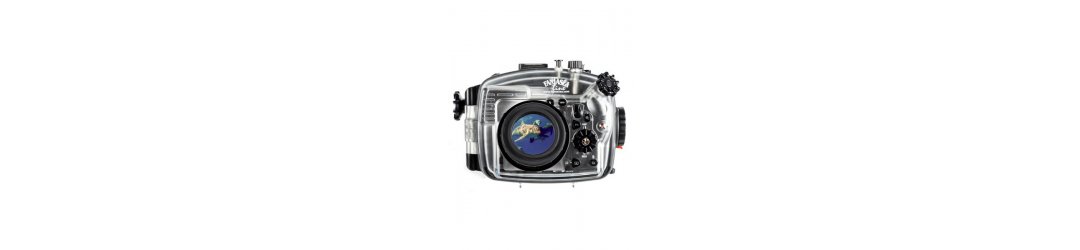 Fantasea UMG-02 LCD Magnifier