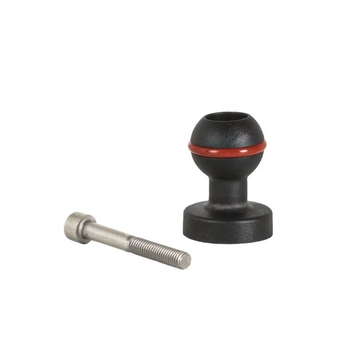 Rotule de 25 mm et Vis M6 pour Bras en Fibre de Carbone L 40 mm