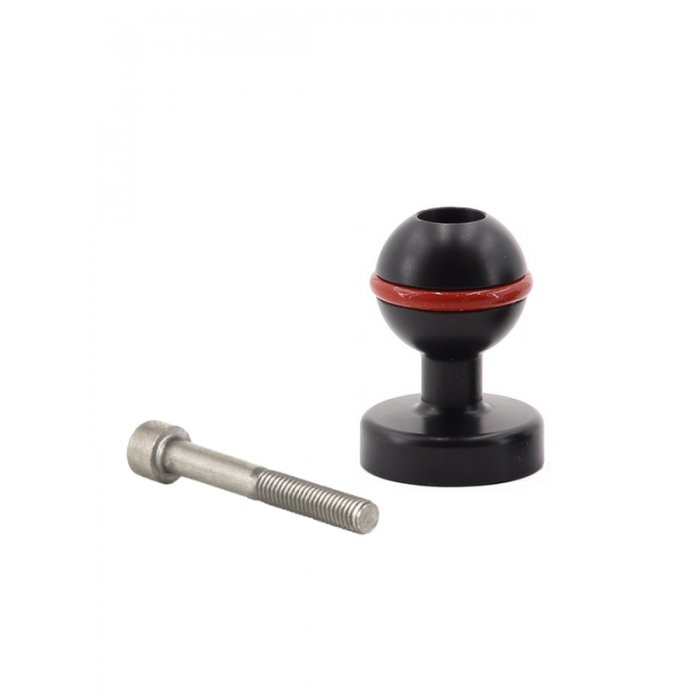 Rotule de 25 mm et Vis M6 pour Bras en Fibre de Carbone L 40 mm Aluminium