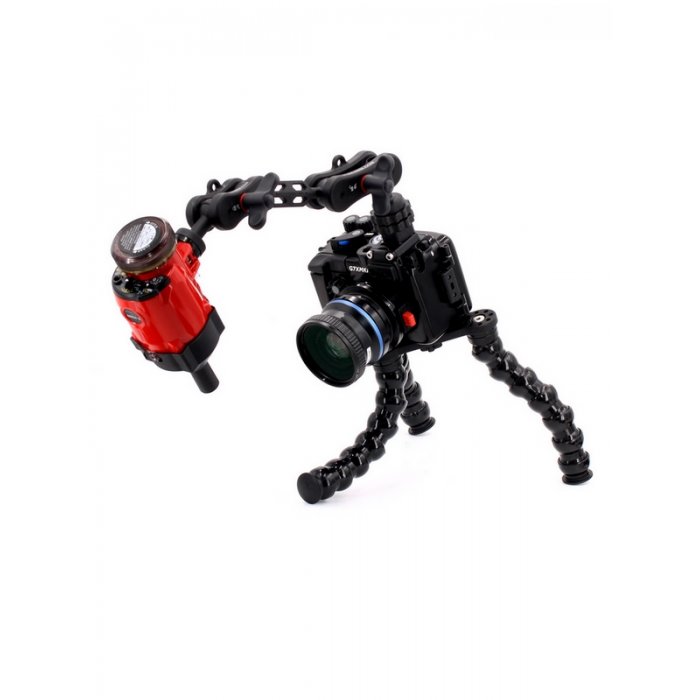 Underwater tripod with flexarm