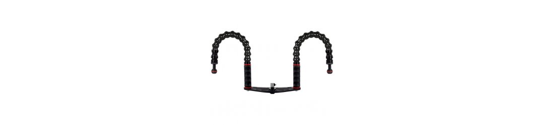 Platine avec Double Poignée et Bras Flexible Terminaison à Boule 25mm pour Action Caméra GoPro