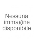 Custodia per GoPro Mission 1 / Mission 1 PRO
