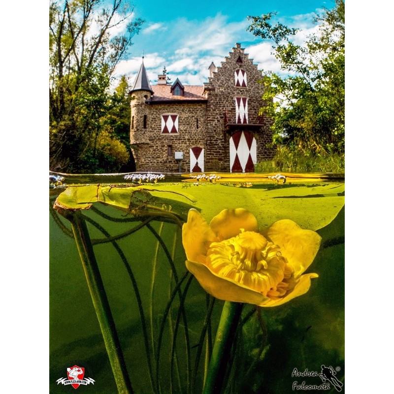 team Flex-Arm ANDREA FALCOMATÀ