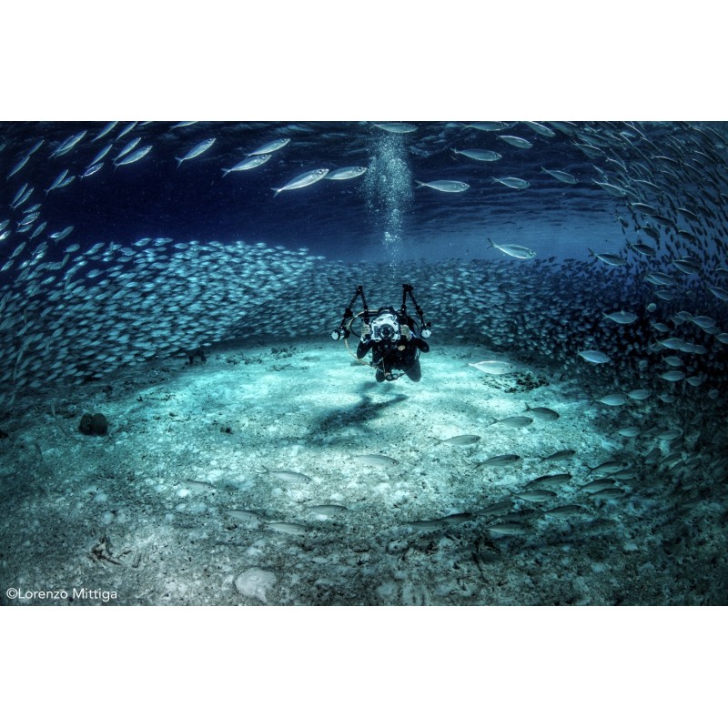 team Flex-Arm LORENZO MITTIGA