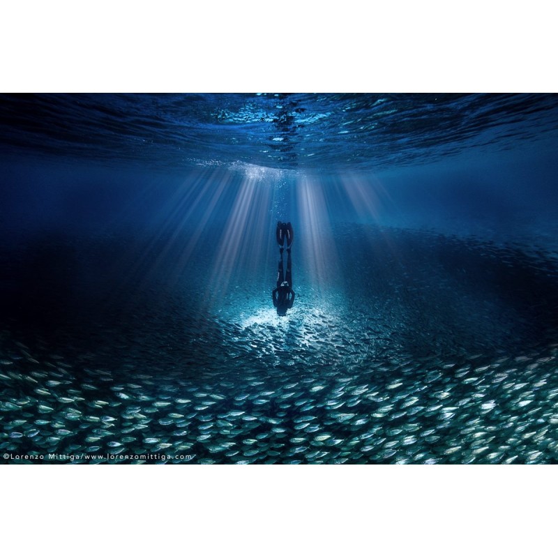 team Flex-Arm LORENZO MITTIGA